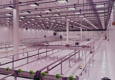 Avici “state-of-the-art” agricultural lighting system.