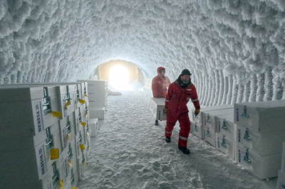 The recovered ice cores are cut up before transport to Europe.