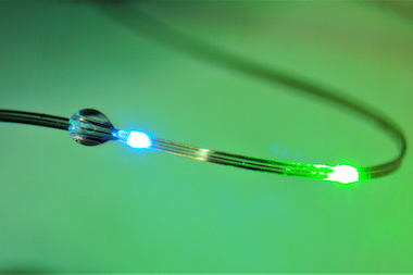Studying connections: implantable microLEDs
