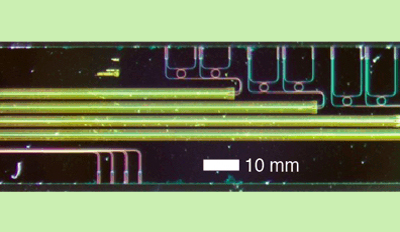 Micrograph of electro-optic isolator chip on thin-film lithium niobate.