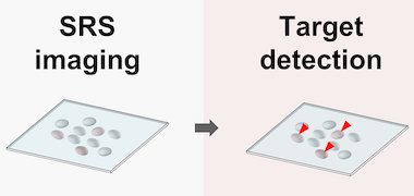 Stimulated sorting: Raman used to separate cells