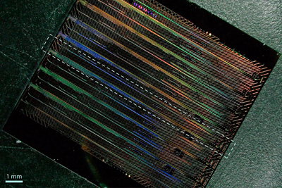 Lithium niobate chip containing eight of the new “FM-OPO” devices.