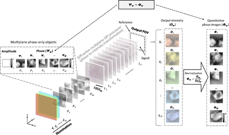 New method for QPI of 3D phase-only object with wavelength-multiplexed processor.