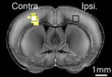 Two become one: hybrid imaging