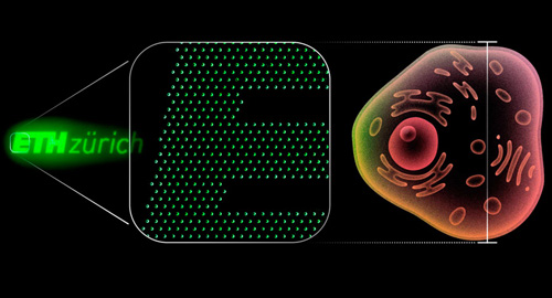 ETHZ logo consisting of 2,800 nano OLEDs compared with human cell. Click for info.