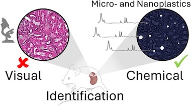 Heat vision: spotting microplastics