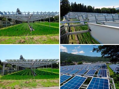 Energy and food: rice paddy fitted with a dual-axis, sun-tracking system.