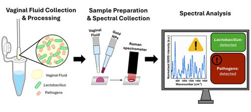 Surface-enhanced Raman spectroscopy captures spectra of vaginal fluid.