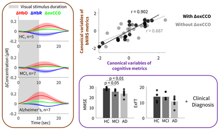 Noninvasive neuromonitoring by broadband near-infrared spectroscopy.