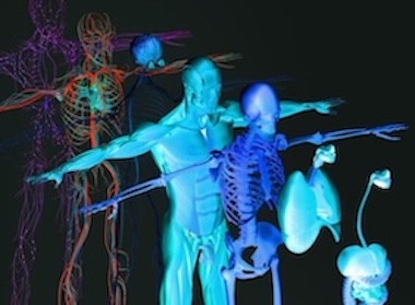 Clearer diagnoses: hybrid imaging