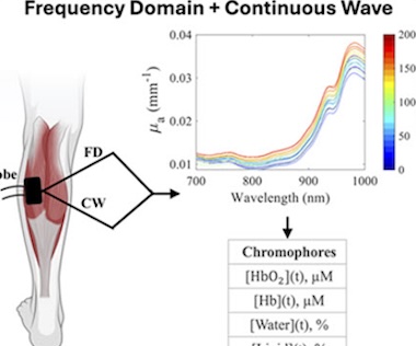 Water level: fluid balance