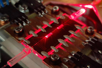 Laser-written glass chip.