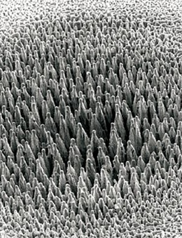Sensitive stuff: laser-textured silicon