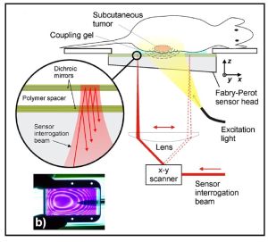 An all-optical photoacoustic platform