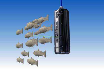 Principle of operation of the Stingray-Unit installed in a salmon fishery.