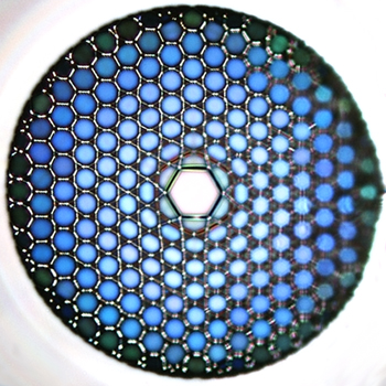 UV-friendly: Microscopic image of a hollow-core optical fiber.