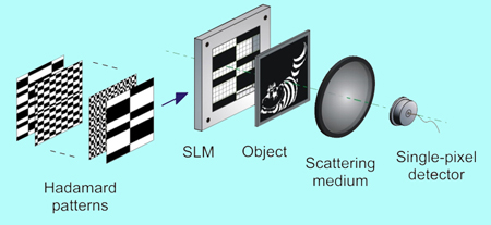 Experimental set-up: microstructured patterns are projected onto the sample.
