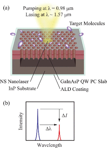 Sensing biomolecules using a PC nanolaser. 
