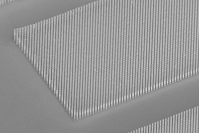 Vertical microwires