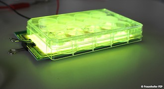 Bio-friendly: how do cells react to OLED light and to OLEDs.