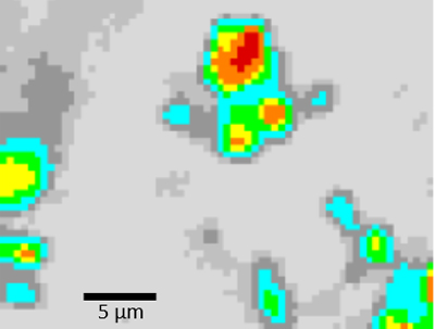 Raman image showing the core of the affected areas (red) and also transition areas.