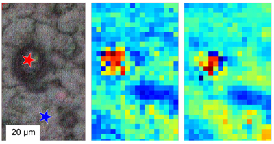 Spectral maps from fiber-based supercontinuum source and synchrotron.